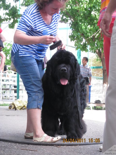 Фотография № 65318