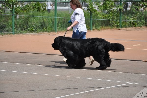 Фотография № 65319