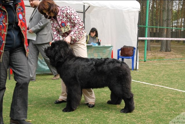 Фотография № 65345