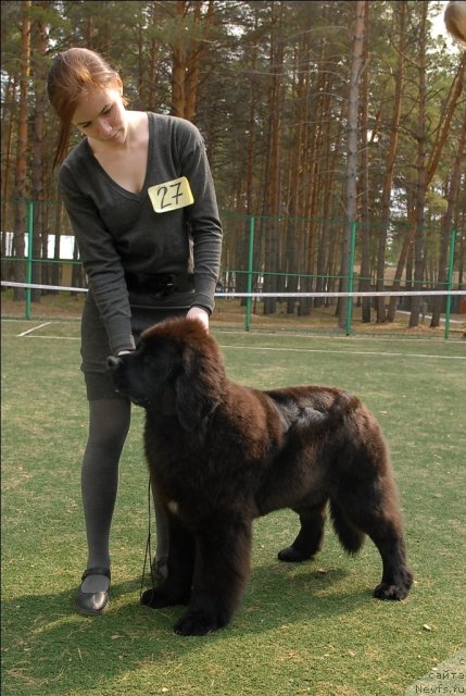 Фотография № 65352