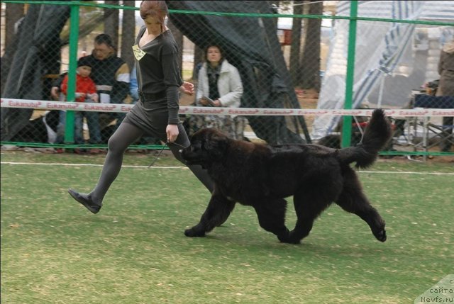 Фотография № 65355