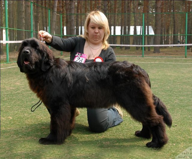 Фотография № 65359