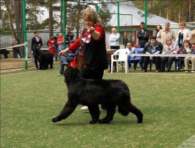 Фотография № 65365