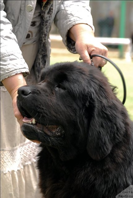 Фотография № 65366