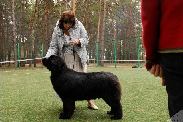 Фотография № 65367