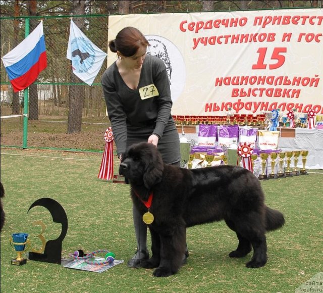 Фотография № 65374