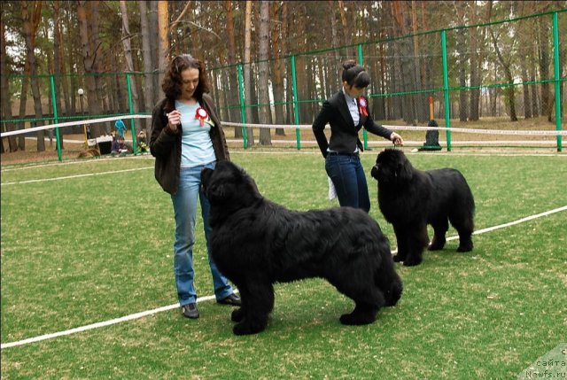 Фотография № 65377