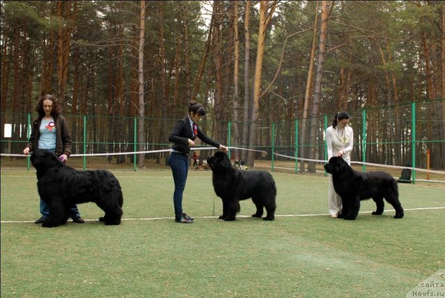 Фотография № 65378