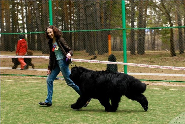 Фотография № 65382