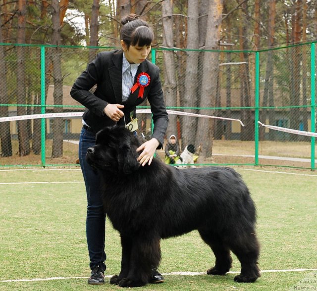 Фотография № 65384