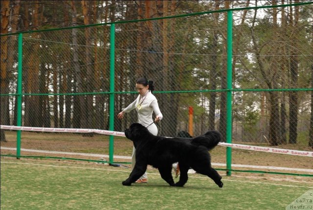 Фотография № 65388