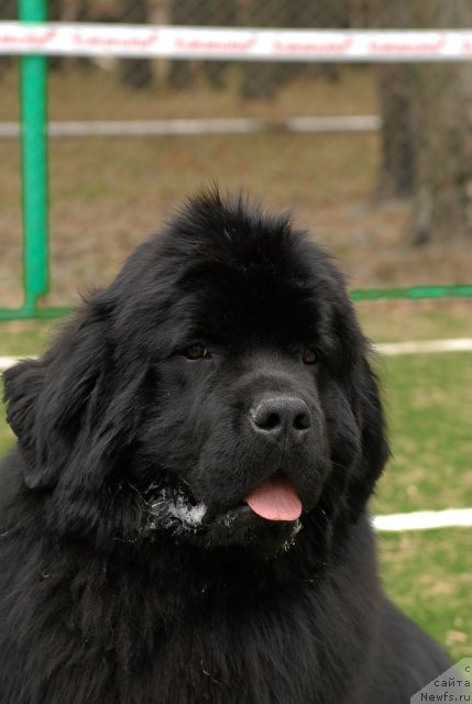 Фотография № 65390