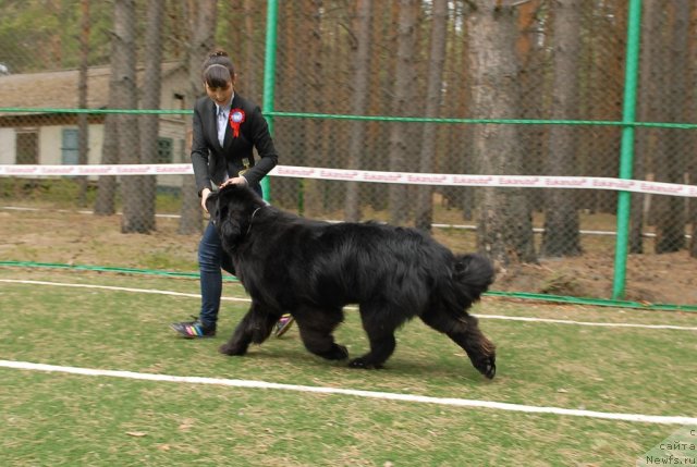 Фотография № 65391