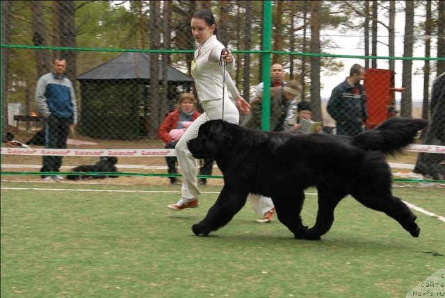 Фотография № 65394