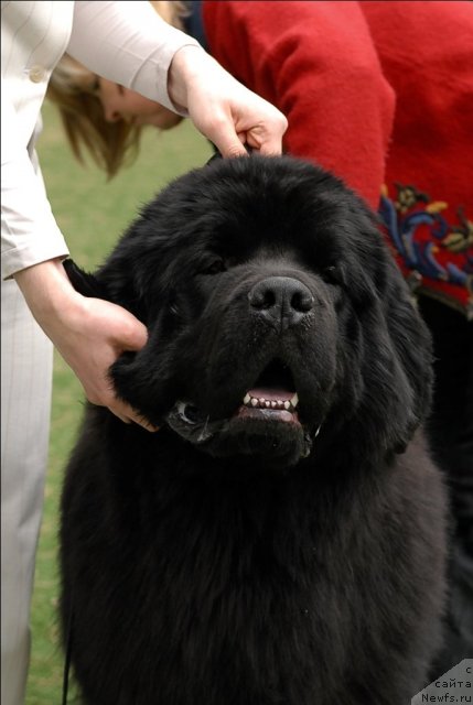 Фотография № 65395