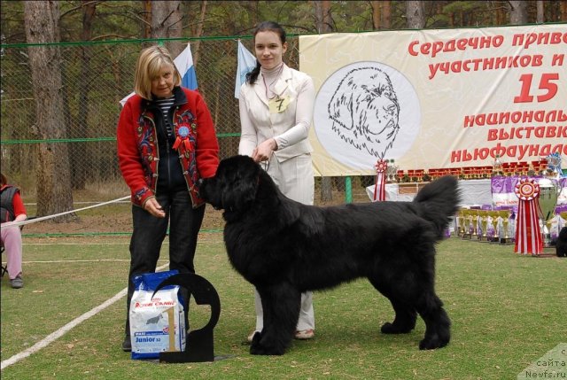 Фотография № 65396