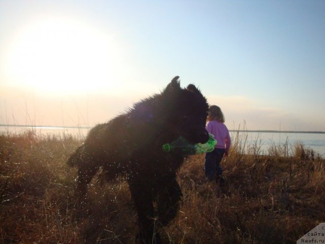 Фотография № 65450