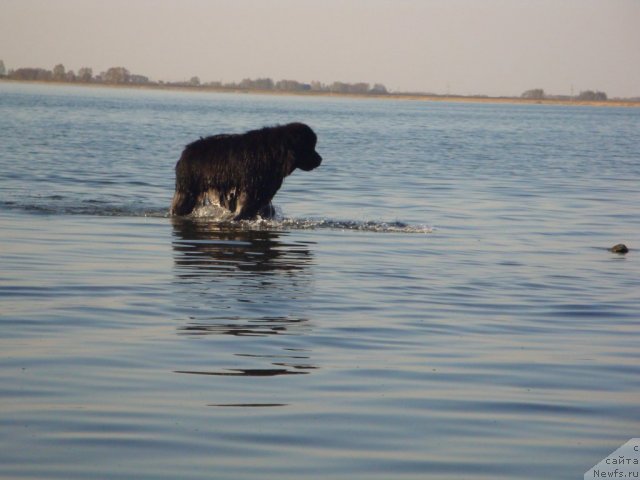 Фотография № 65452