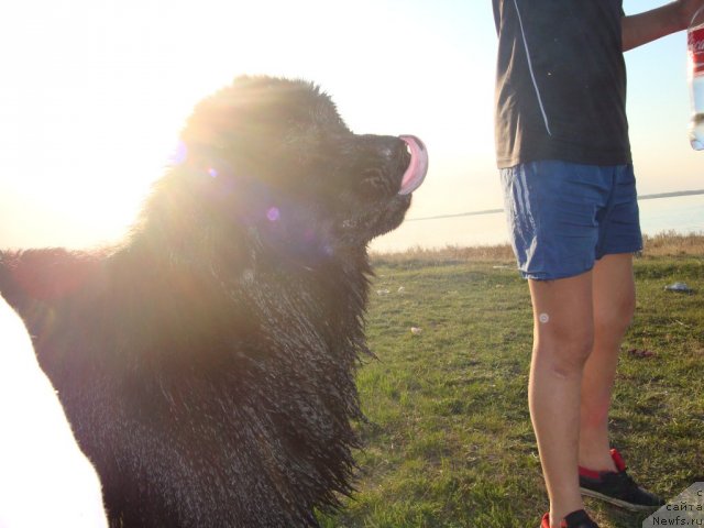 Фотография № 65454