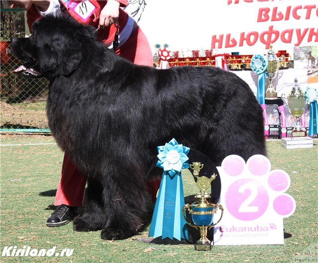 Фотография № 65467