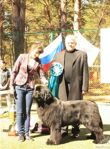 Фотография № 65468