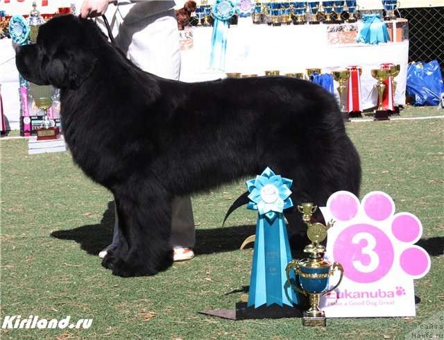 Фотография № 65470