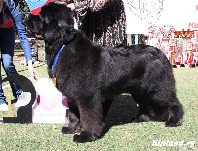 Фотография № 65473