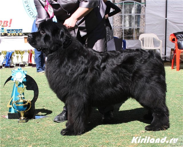 Фотография № 65475