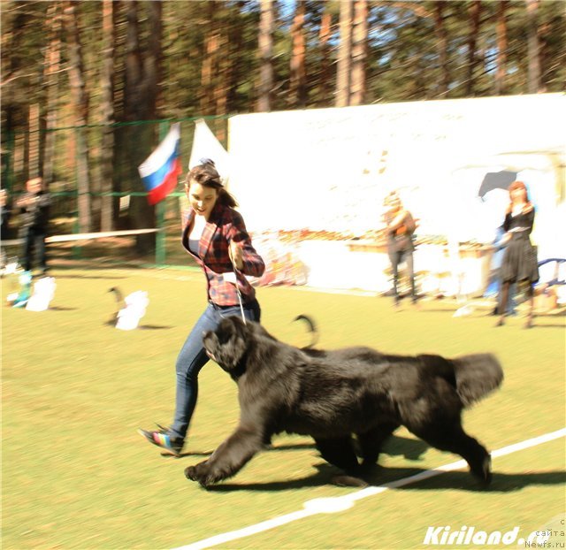 Фотография № 65476