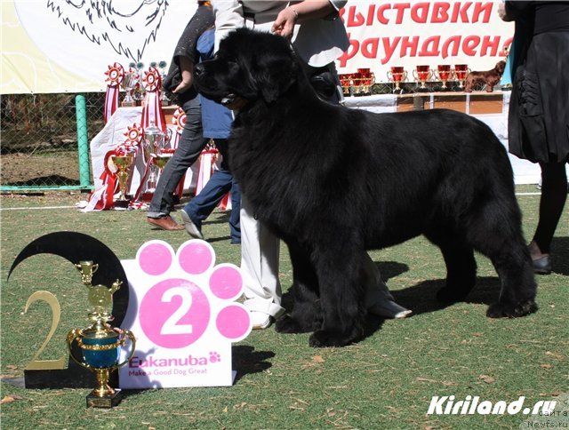 Фотография № 65478