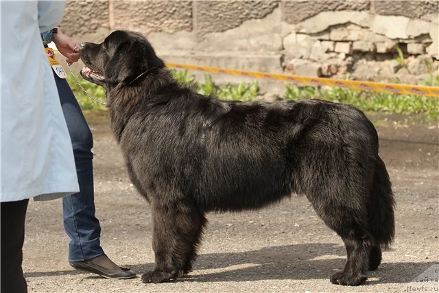 Фотография № 65497