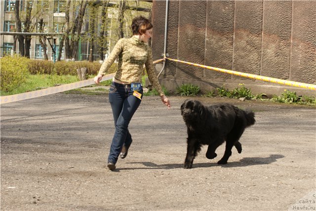 Фотография № 65501