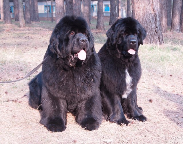 Фотография № 65508