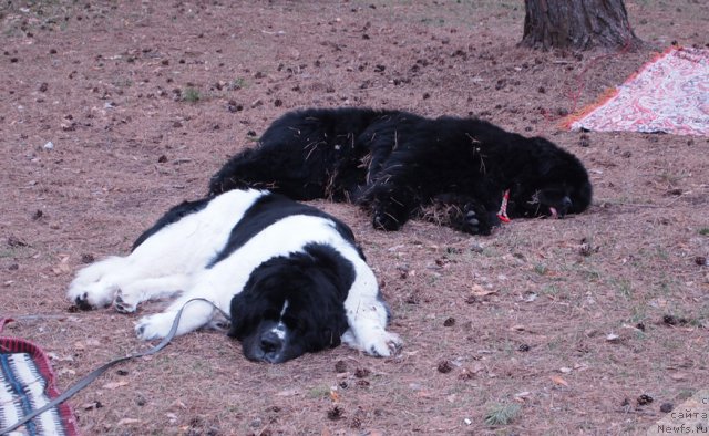 Фотография № 65509