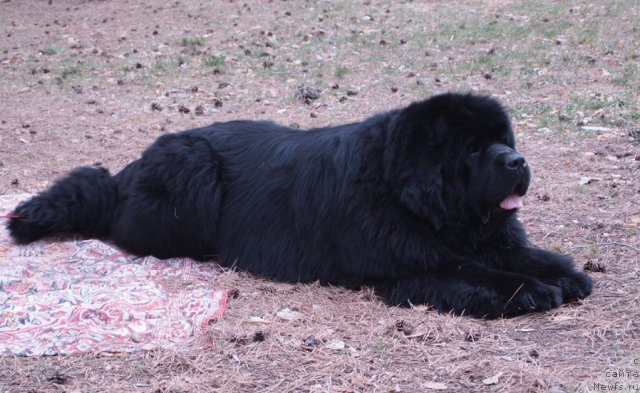 Фотография № 65510