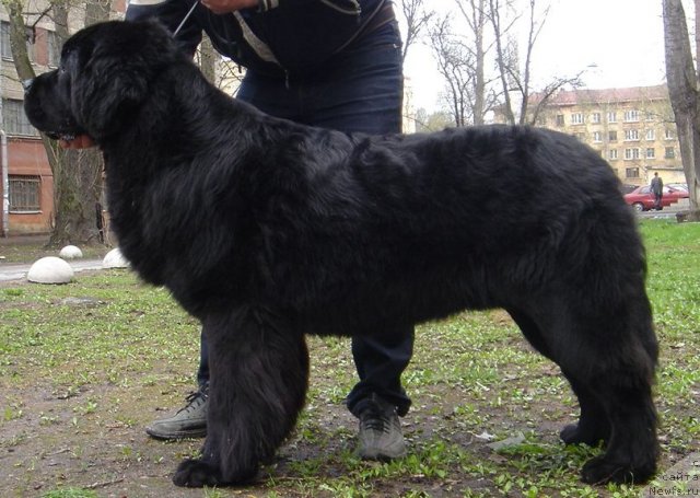 Фотография № 65532