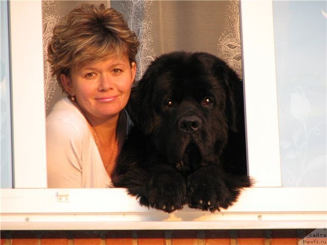 Фотография № 65551