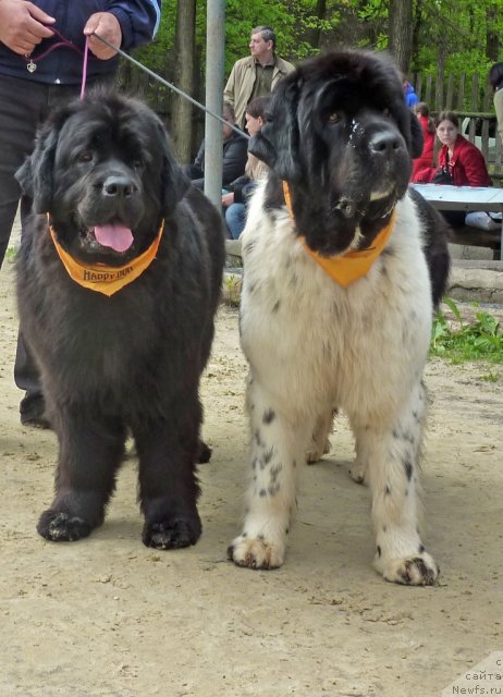 Фотография № 65591