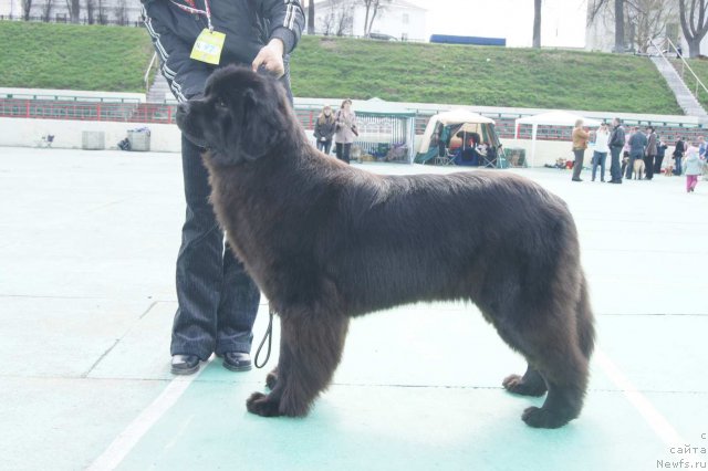 Фотография № 65604