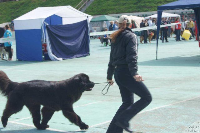 Фотография № 65606