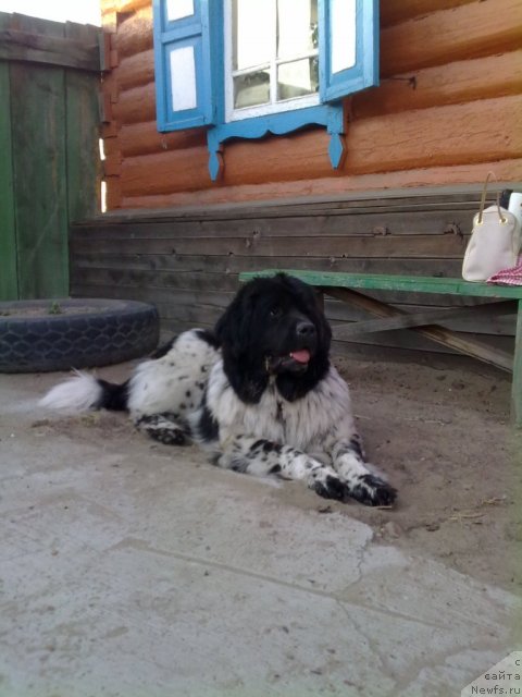 Фотография № 65669