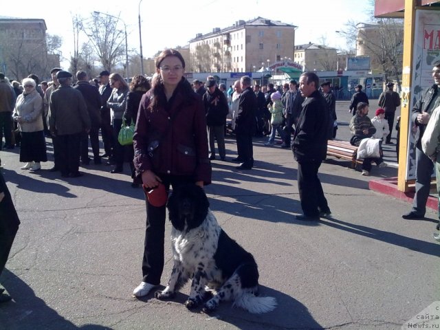 Фотография № 65672