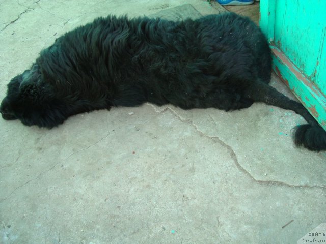 Фотография № 65696