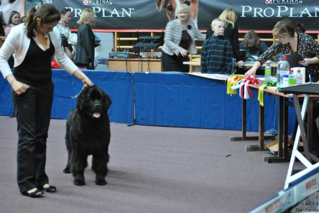 Фотография № 65707