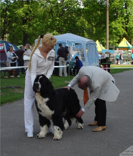 Фото: Описание под итальянцем