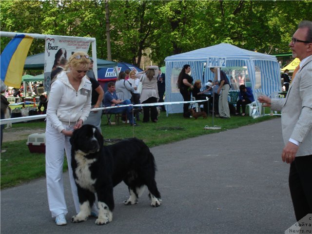 Фотография № 65714