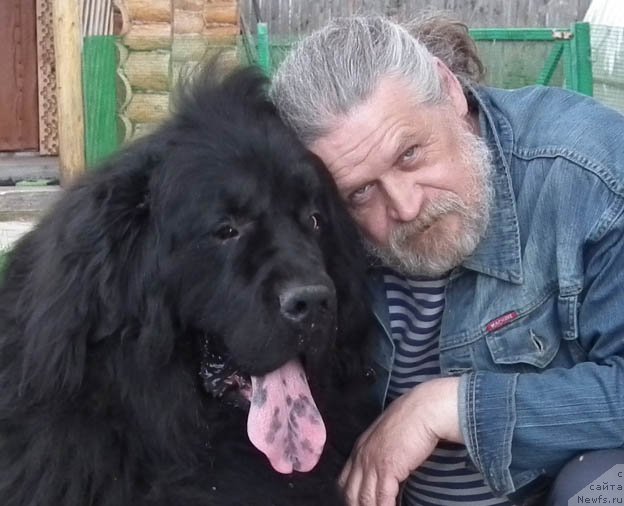 Фото: [d6962] и [p458]