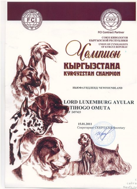 Фотография № 65725