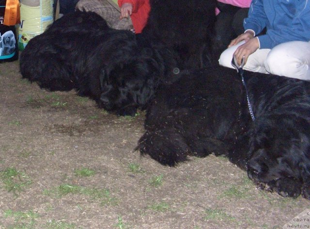 Фотография № 65728