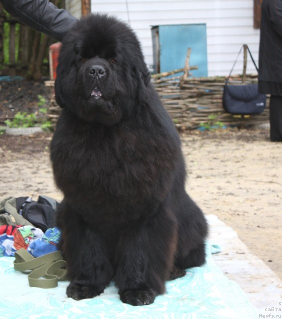 Фотография № 65730